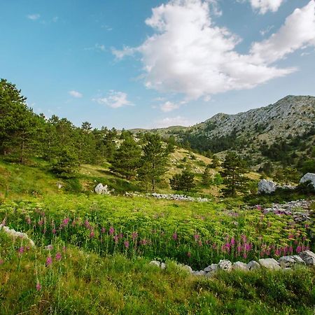 Apartament Apartman Magdalena Makarska Zewnętrze zdjęcie