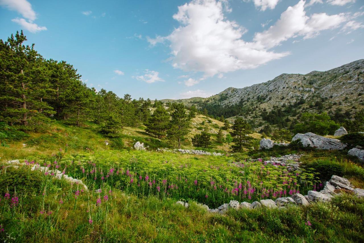 Apartament Apartman Magdalena Makarska Zewnętrze zdjęcie
